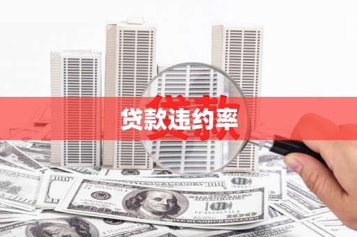 望安贷款违约率