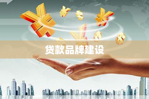 望安贷款品牌建设