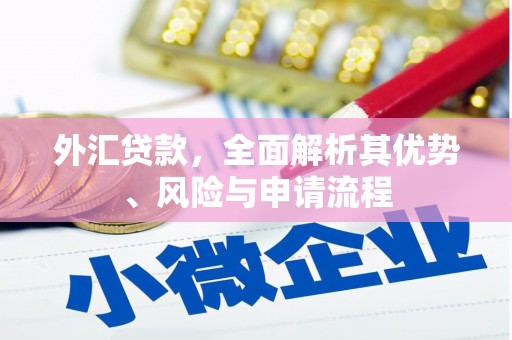 望安外汇贷款，全面解析其优势、风险与申请流程