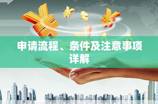 望安申请流程、条件及注意事项详解
