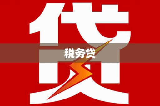 望安税务贷