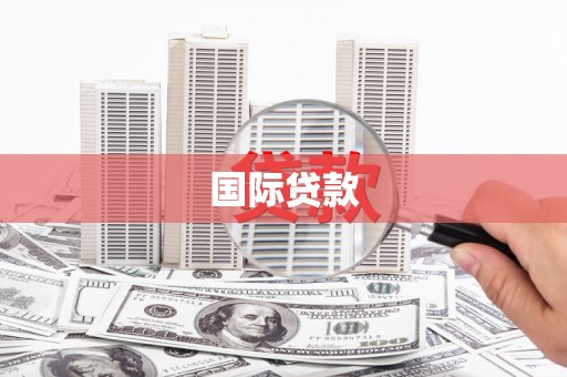 望安国际贷款