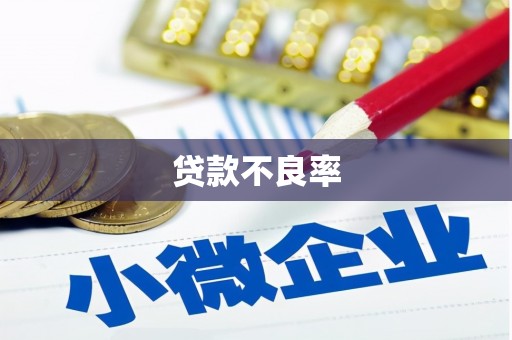 望安贷款不良率