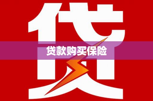 望安贷款购买保险