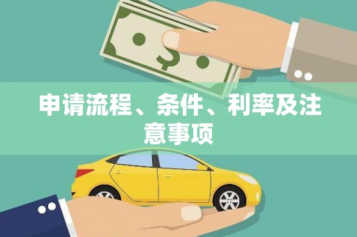 望安申请流程、条件、利率及注意事项