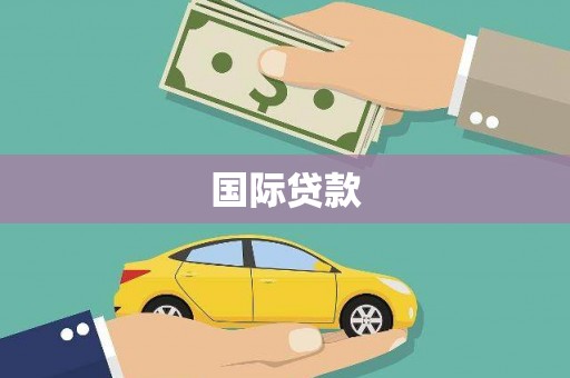 望安国际贷款