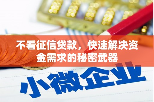 望安不看征信贷款，快速解决资金需求的秘密武器