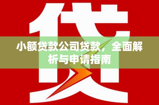 望安小额贷款公司贷款，全面解析与申请指南