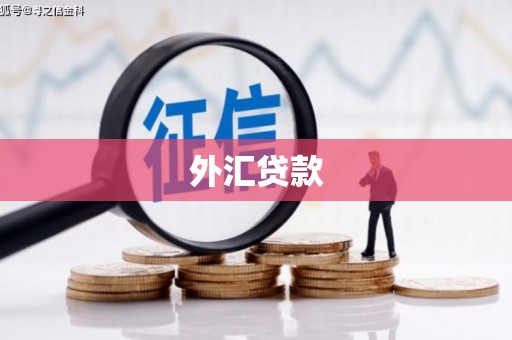 望安外汇贷款