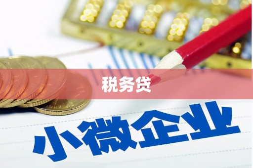 望安税务贷