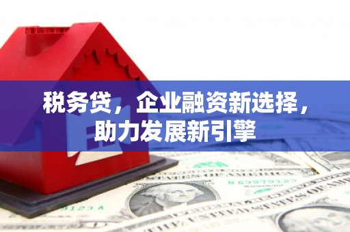 望安税务贷，企业融资新选择，助力发展新引擎