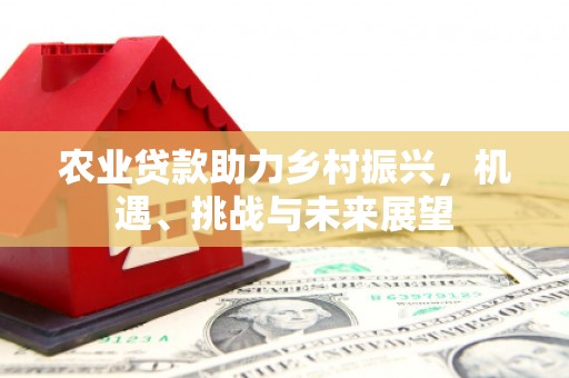 望安农业贷款助力乡村振兴，机遇、挑战与未来展望
