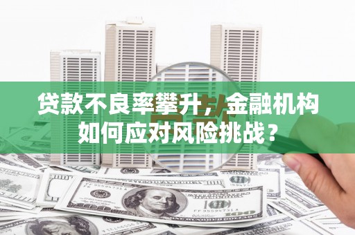 望安贷款不良率攀升，金融机构如何应对风险挑战？