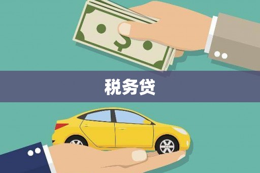 望安税务贷