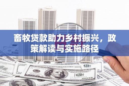 望安畜牧贷款助力乡村振兴，政策解读与实施路径