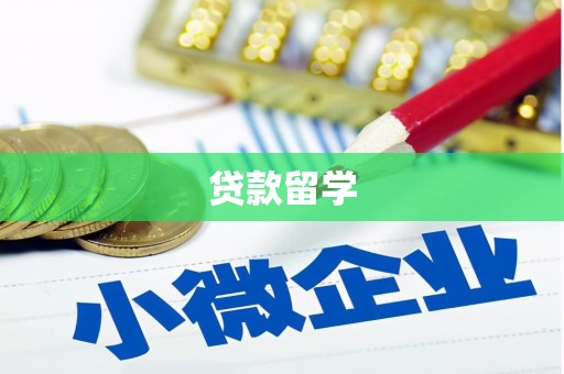望安贷款留学