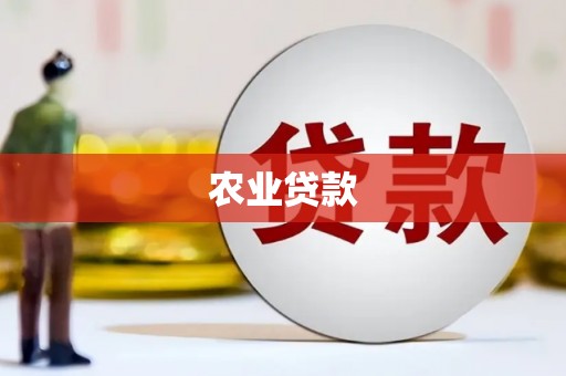 望安农业贷款