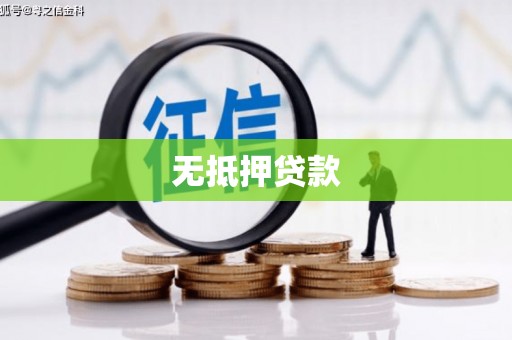 望安无抵押贷款