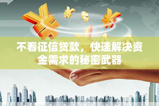 望安不看征信贷款，快速解决资金需求的秘密武器