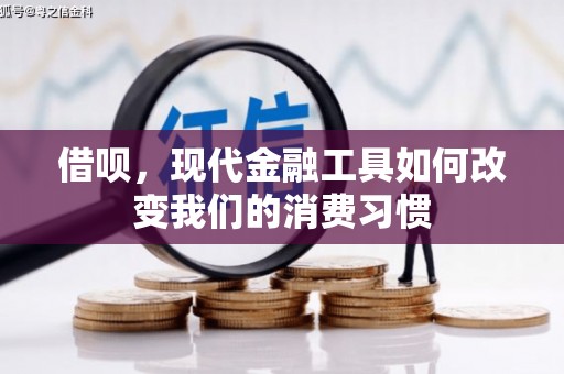 望安借呗，现代金融工具如何改变我们的消费习惯