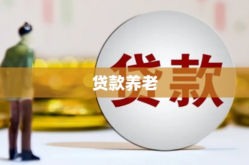 望安贷款养老
