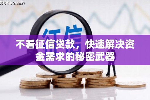 望安不看征信贷款，快速解决资金需求的秘密武器