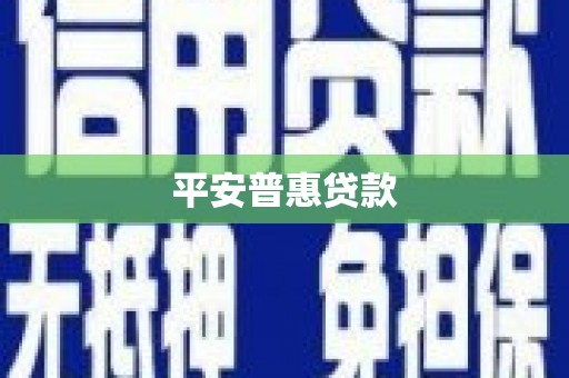 望安平安普惠贷款