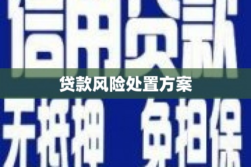 望安贷款风险处置方案