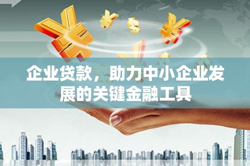 望安企业贷款，助力中小企业发展的关键金融工具