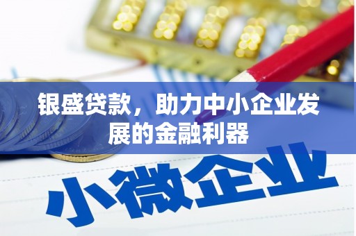 望安银盛贷款，助力中小企业发展的金融利器