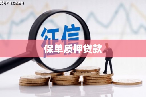望安保单质押贷款