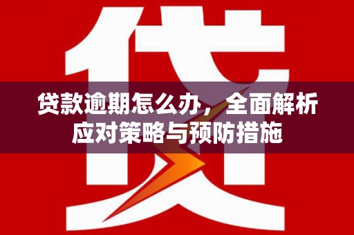 望安贷款逾期怎么办，全面解析应对策略与预防措施