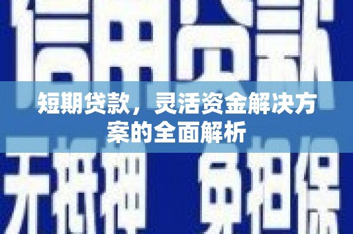 望安短期贷款，灵活资金解决方案的全面解析