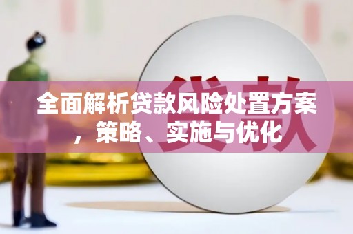 望安全面解析贷款风险处置方案，策略、实施与优化