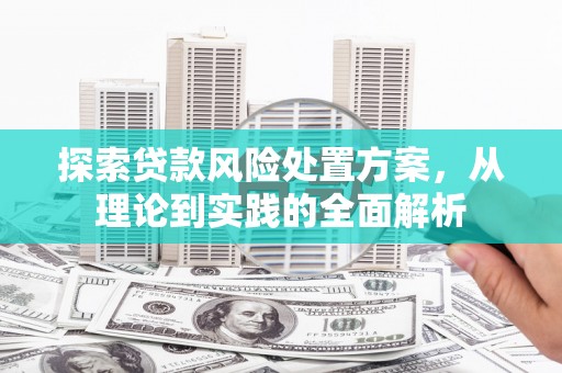 望安探索贷款风险处置方案，从理论到实践的全面解析