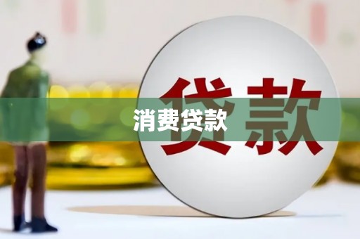 望安消费贷款