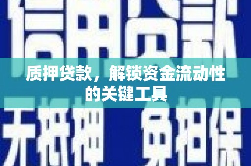 望安质押贷款，解锁资金流动性的关键工具