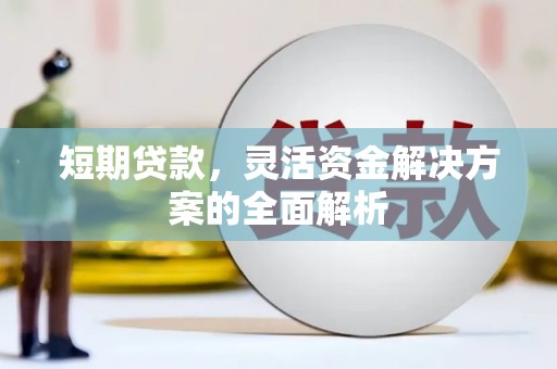 望安短期贷款，灵活资金解决方案的全面解析