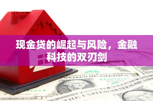 望安现金贷的崛起与风险，金融科技的双刃剑