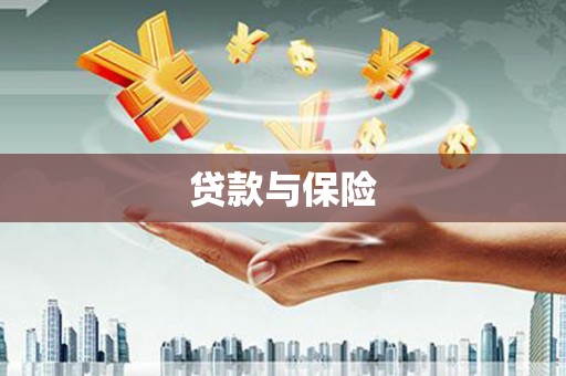 望安贷款与保险