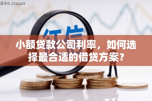 望安小额贷款公司利率，如何选择最合适的借贷方案？