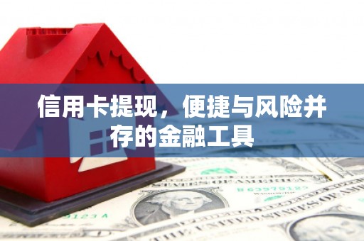 望安信用卡提现，便捷与风险并存的金融工具
