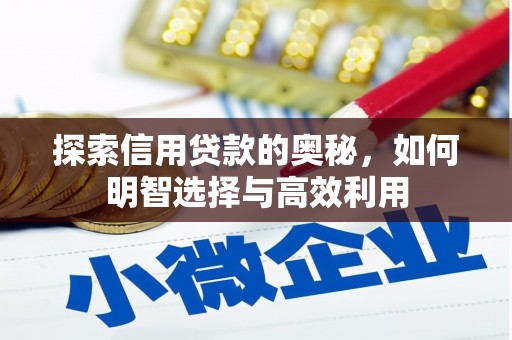 望安探索信用贷款的奥秘，如何明智选择与高效利用