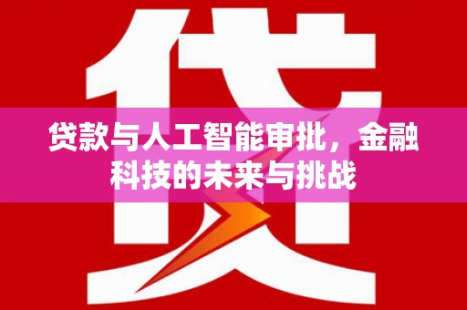 望安贷款与人工智能审批，金融科技的未来与挑战