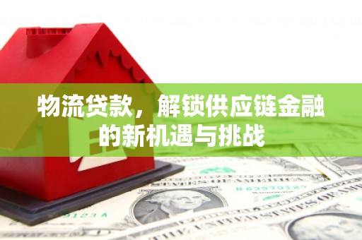 望安物流贷款，解锁供应链金融的新机遇与挑战