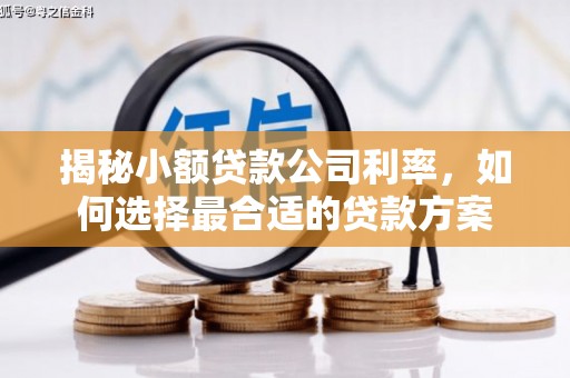 望安揭秘小额贷款公司利率，如何选择最合适的贷款方案