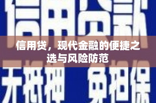 望安信用贷，现代金融的便捷之选与风险防范