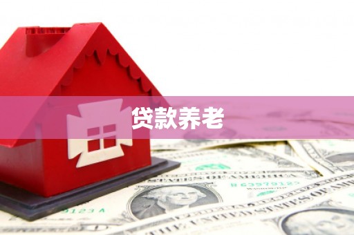 望安贷款养老
