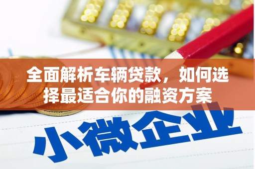 望安全面解析车辆贷款，如何选择最适合你的融资方案