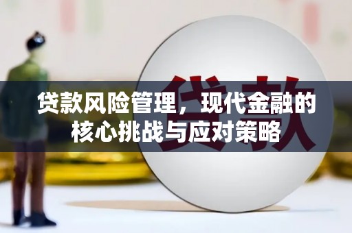 望安贷款风险管理，现代金融的核心挑战与应对策略